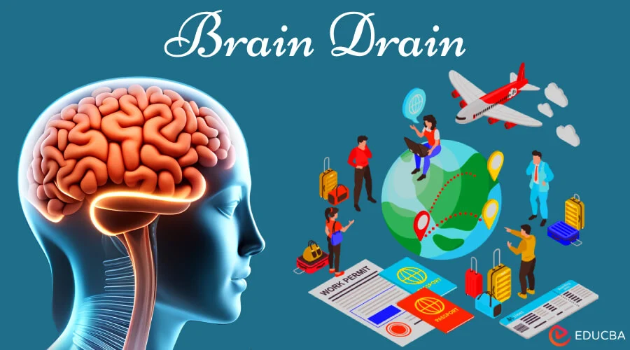 Brain Drain