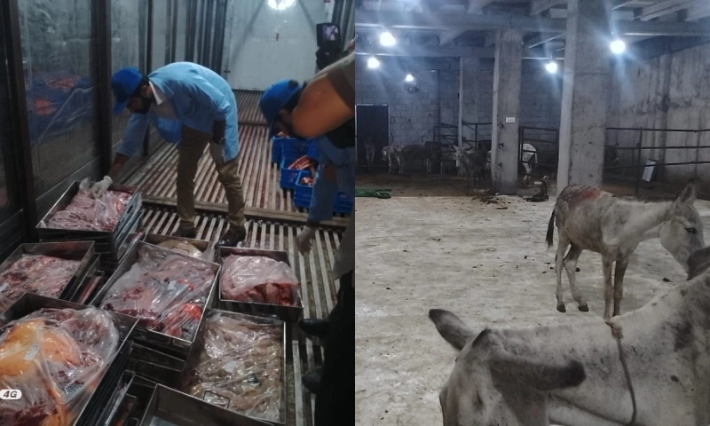 donkey meats nigah pk