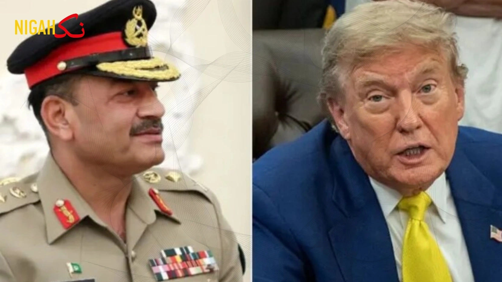nigah asim trump