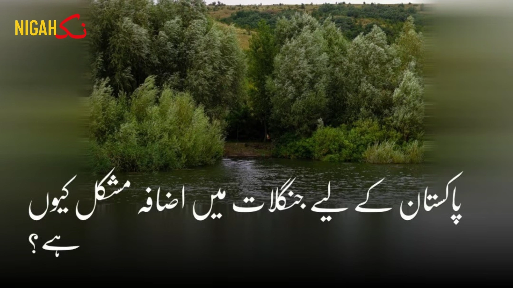 nigah forest impossibe