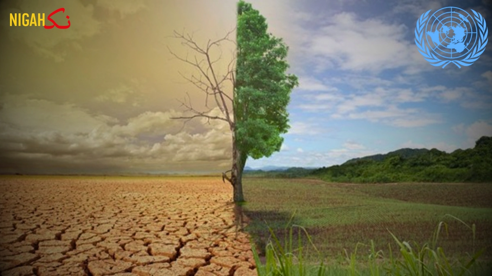 nigah climate change unga