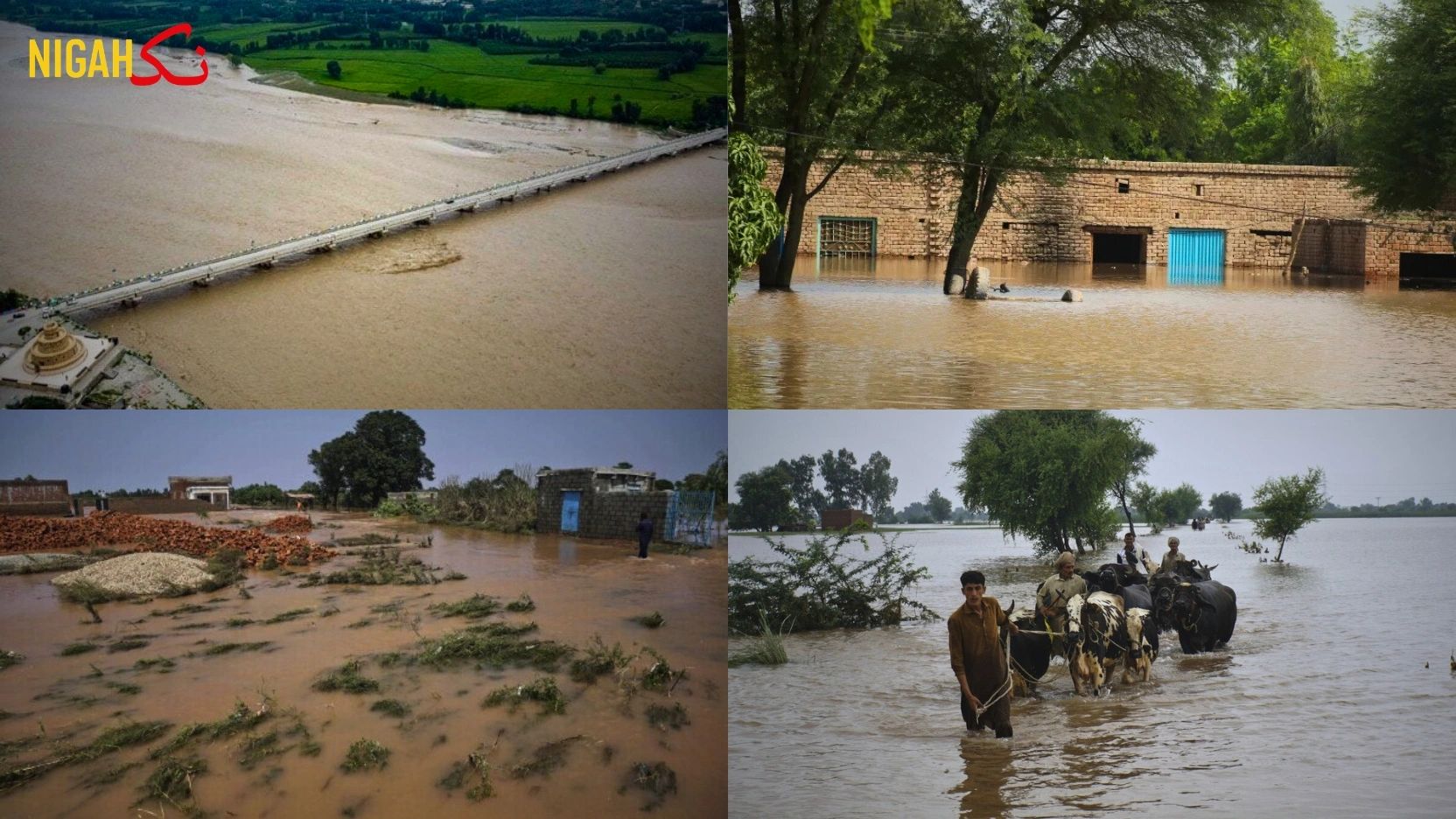 nigah flood damage