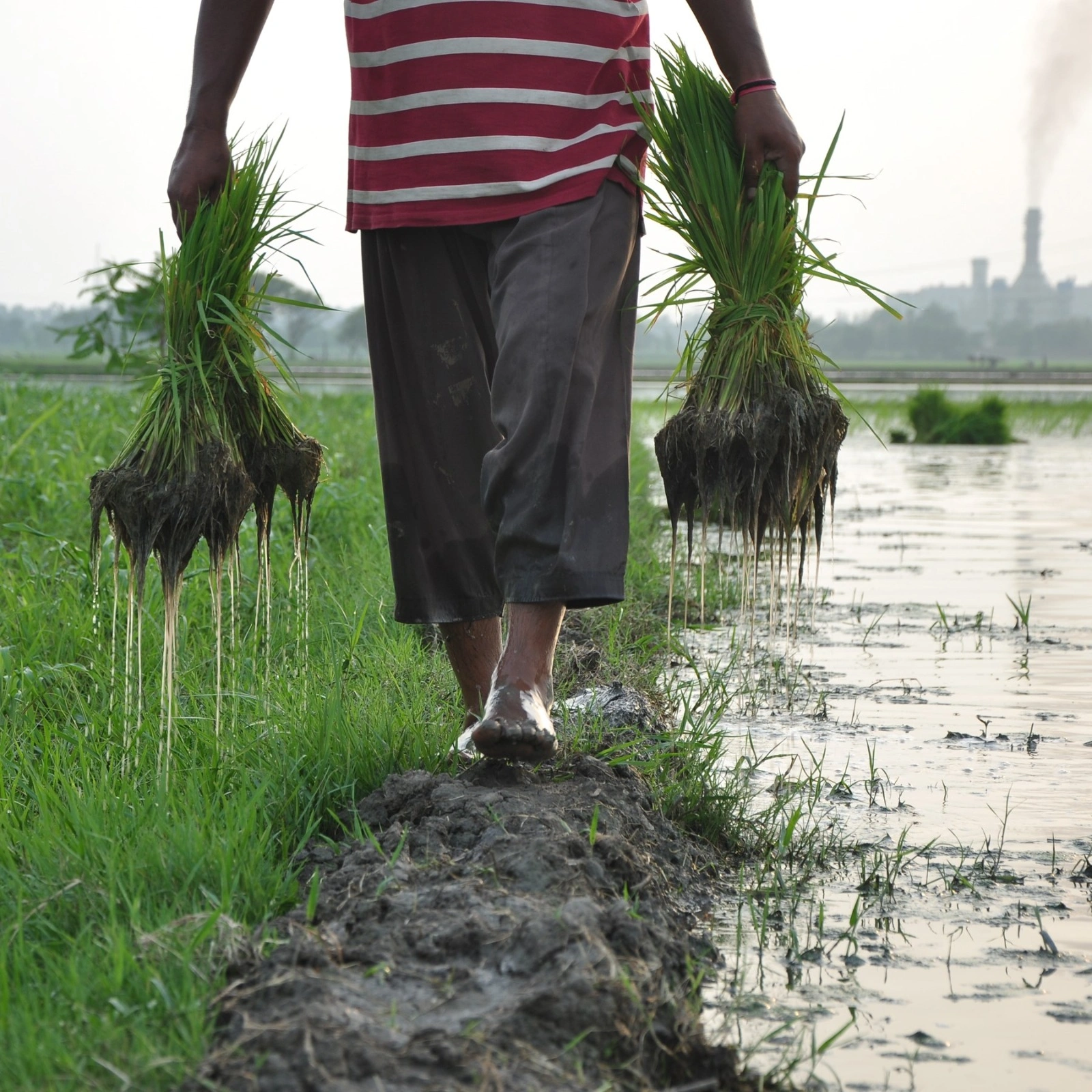 مٹی کے برتن اور کپڑے کی صنعت