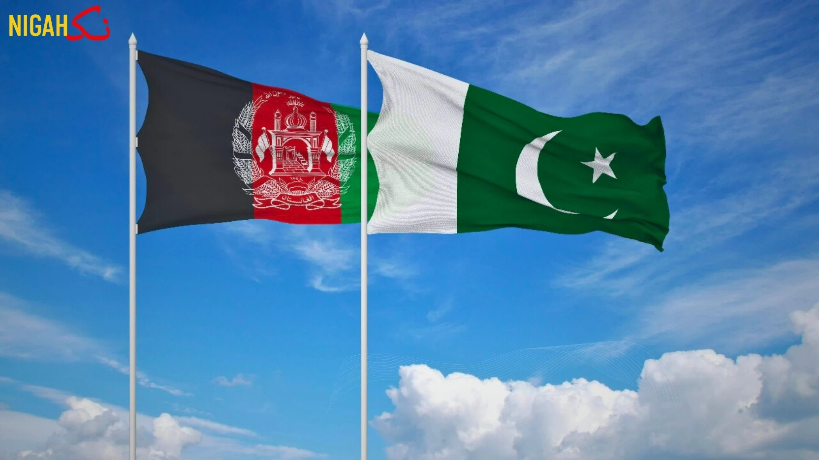 ریاستی سرپرستی میں دہشت گردی