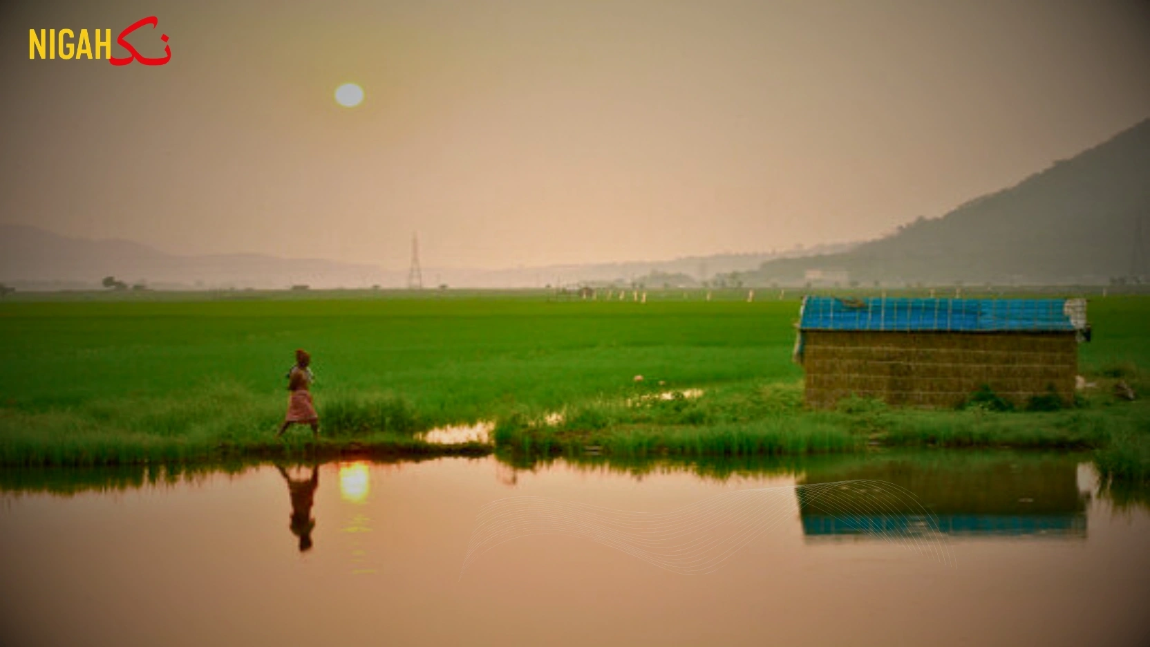 قومی اتفاقِ رائے