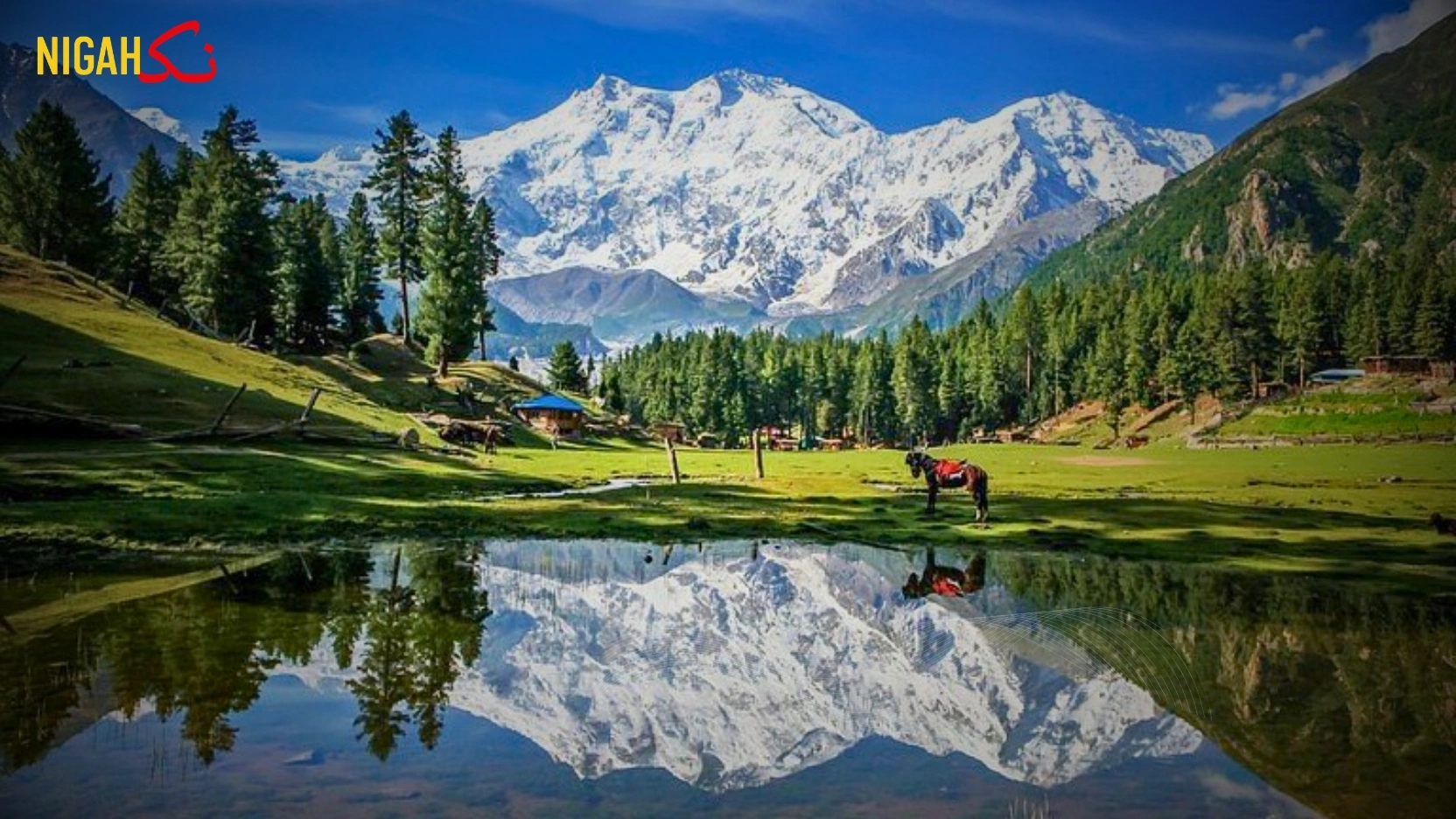 گلگت بلتستان میں احتجاجی سیاست اور اس کے معاشی اثرات
