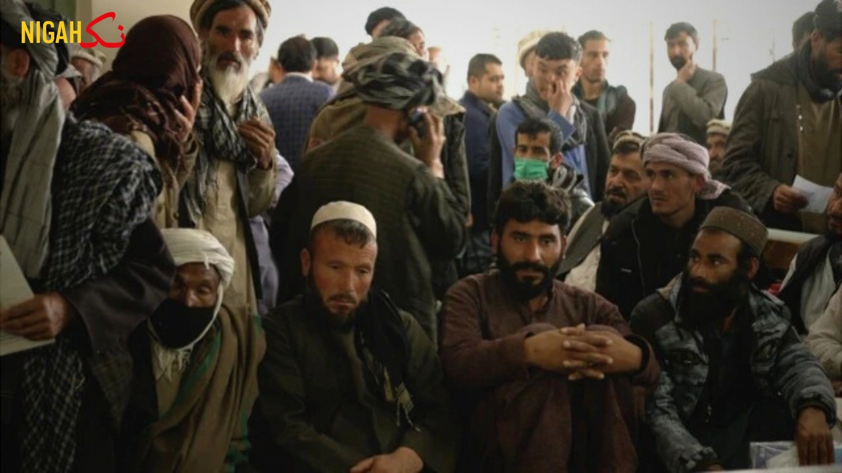 افغانستان کی منشیات کی کہانی' افیون سے مصنوعی زہر تک