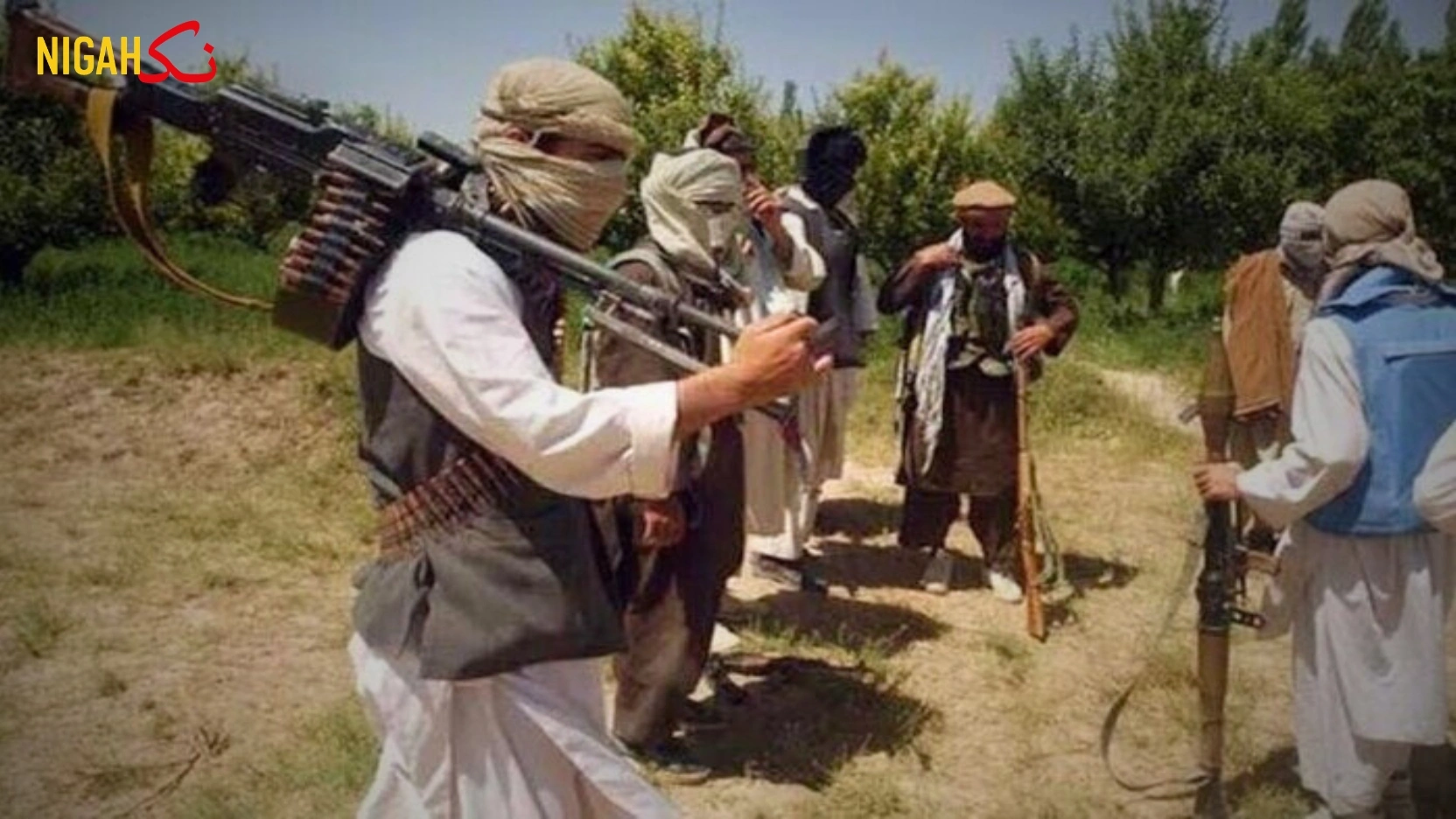 afghan taliban