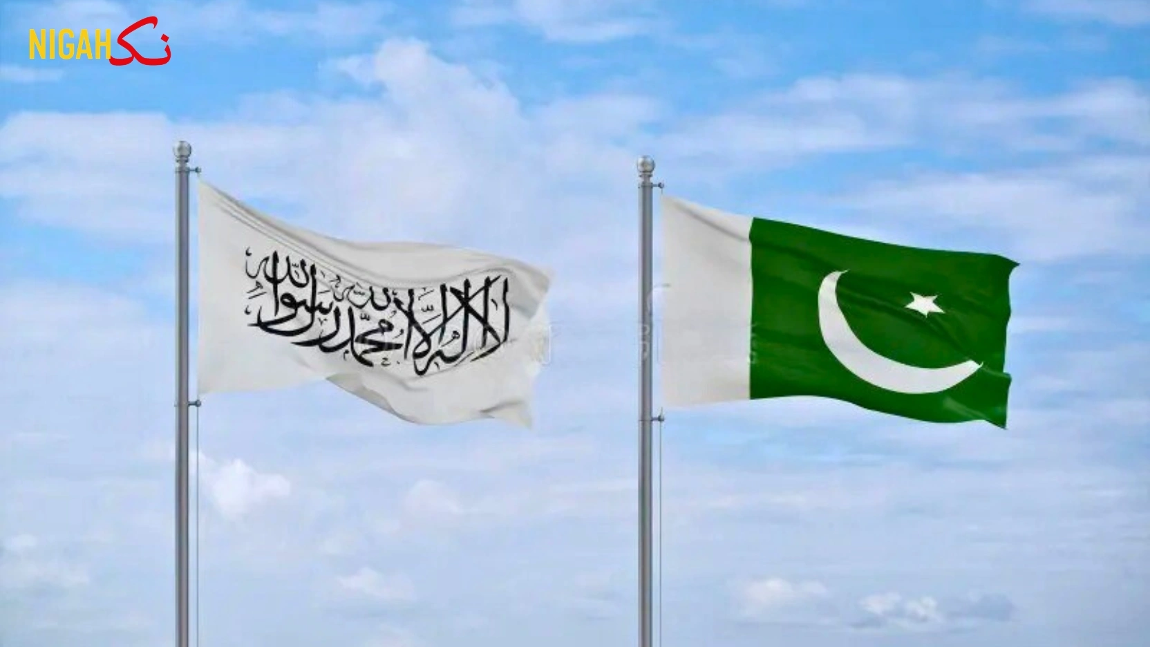 حکومت کی ملی بھگت سے آزادانہ طور پ