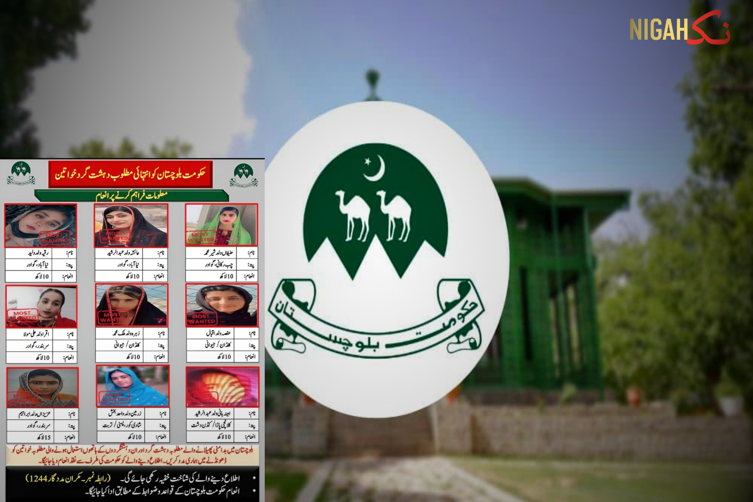 قانون کا ترازو برابر ہے