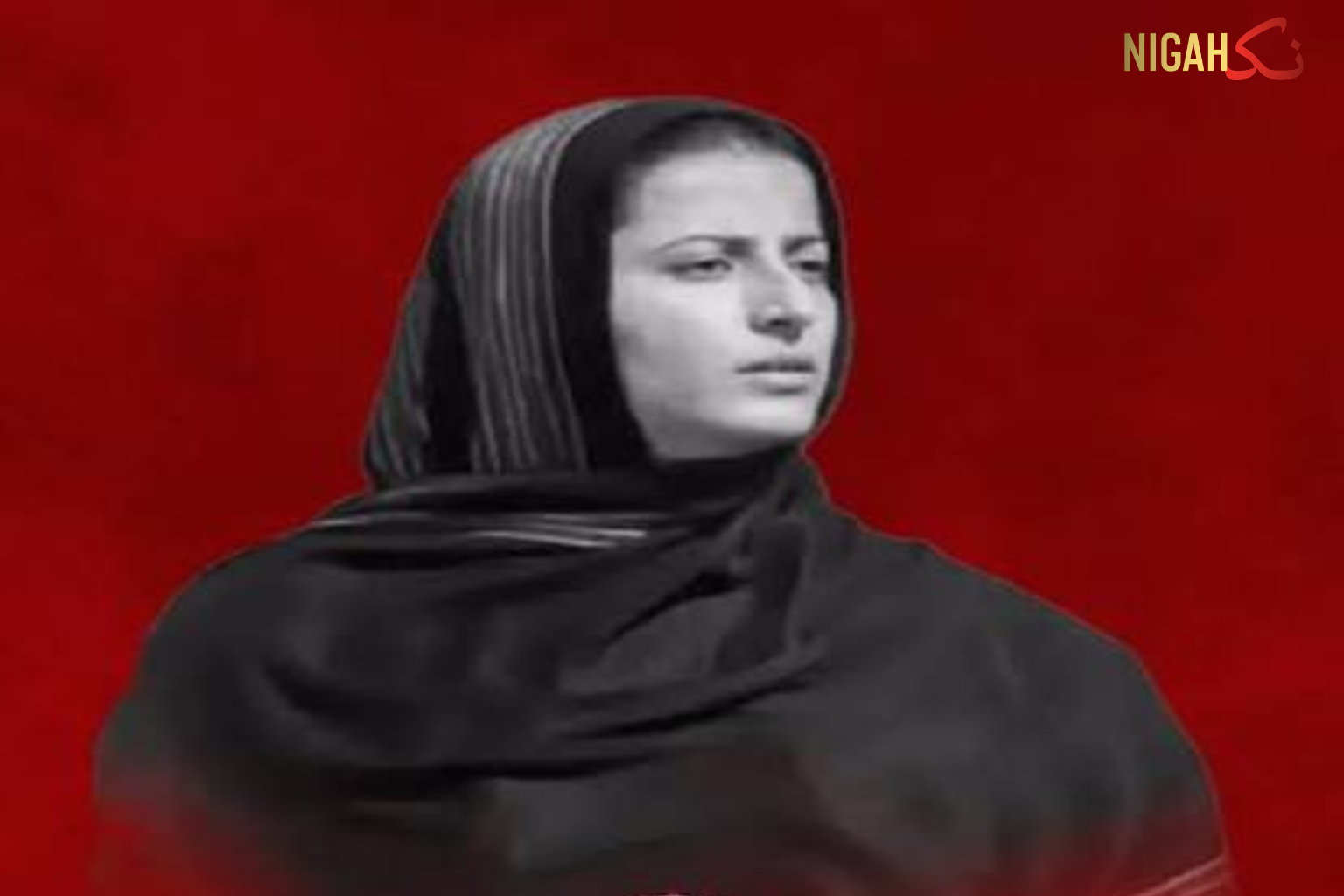 مکروہ پروپیگنڈے کا پردہ چاک خوارج کے سہولتکاروں کا انجام